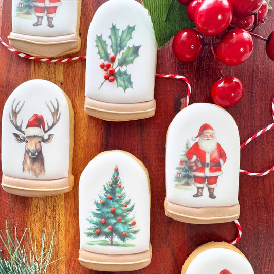 Medium Size Snow Globe (4 designs)